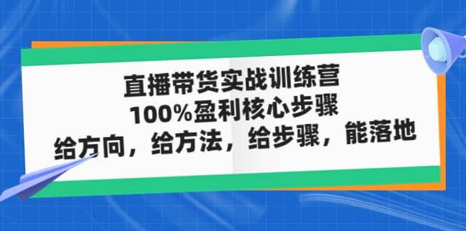 直播带货实战训练营：100%盈利核心步骤，给方向，给方法，给步骤，能落地-91搞钱
