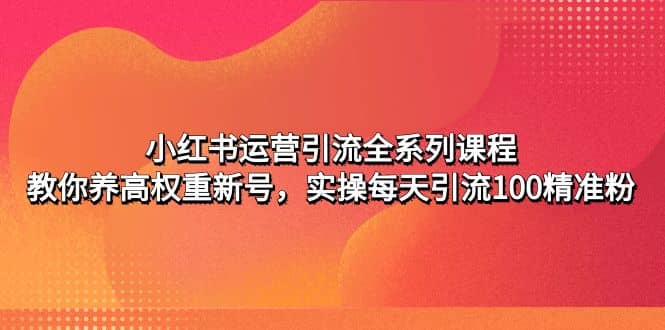 小红书运营引流全系列课程:教你养高权重新号-91搞钱