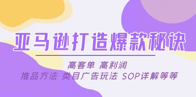 亚马逊打造爆款秘诀:高客单 高利润 推品方法 类目广告玩法 SOP详解等等-91搞钱