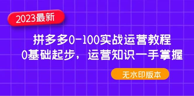 2023拼多多0-100实战运营教程，0基础起步，运营知识一手掌握（无水印）-91搞钱