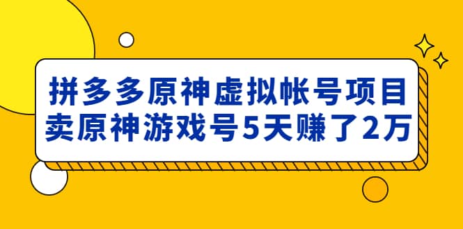 外面卖2980的拼多多原神虚拟帐号项目-91搞钱