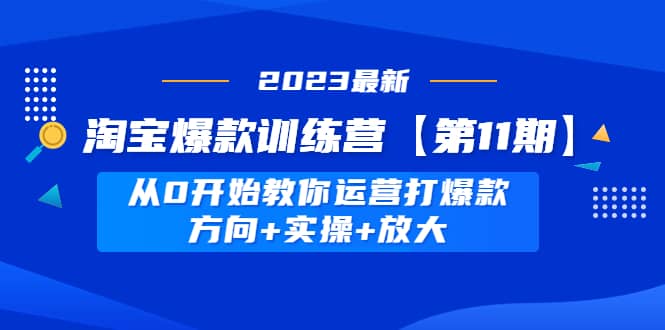 淘宝爆款训练营【第11期】 从0开始教你运营打爆款,方向+实操+放大-91搞钱