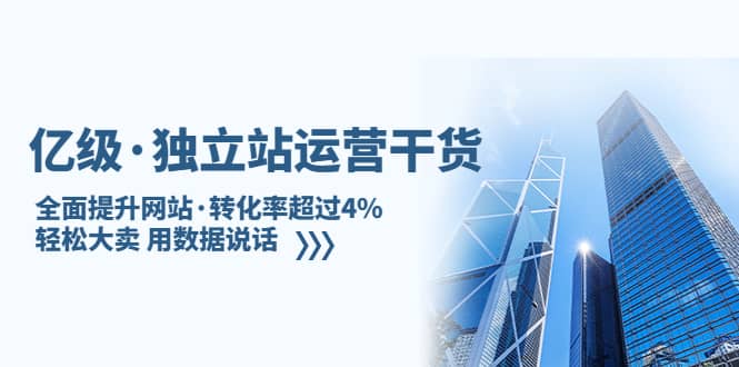 独立站运营干货：全面提升网站·转化率超过4%，轻松大卖 用数据说话-91搞钱