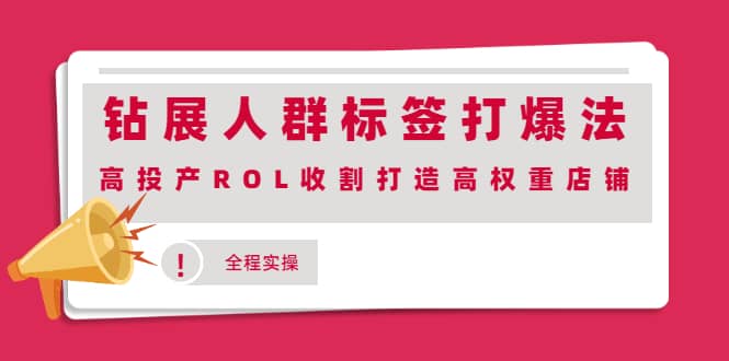 钻展人群标签打爆法，高投产ROL收割打造高权重店铺(全程实操)-91搞钱
