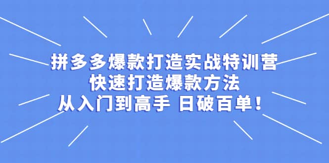 拼多多爆款打造实战特训营:快速打造爆款方法,从入门到高手 日破百单-91搞钱