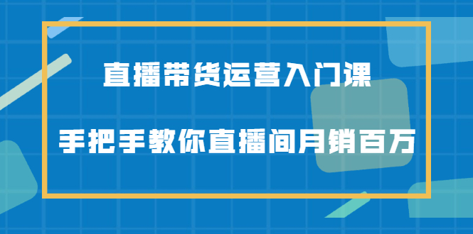 直播带货运营入门课,手把手教你直播间月销百万-91搞钱
