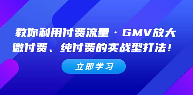 教你利用付费流量·GMV放大,微付费、纯付费的实战型打法-91搞钱