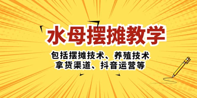 水母·摆摊教学，包括摆摊技术、养殖技术、拿货渠道、抖音运营等-91搞钱