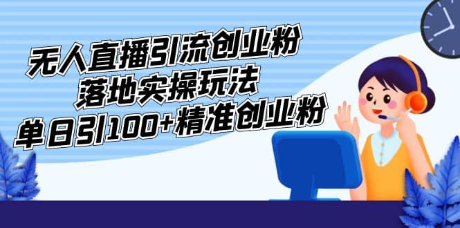 外面收费3980的无人直播引流创业粉落地实操玩法,单日引100+精准创业粉-91搞钱