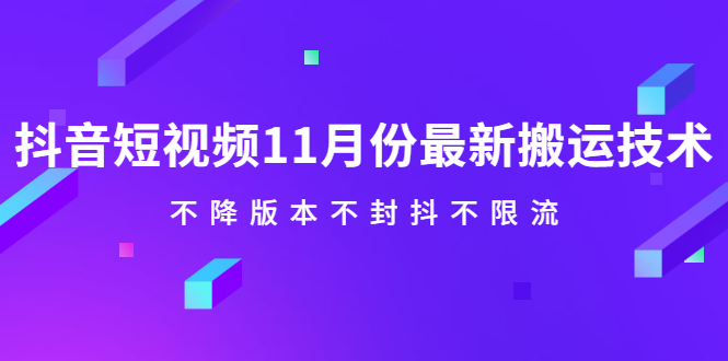 抖音短视频11月份最新搬运技术,不降版本不封抖不限流!【视频课程】-91搞钱