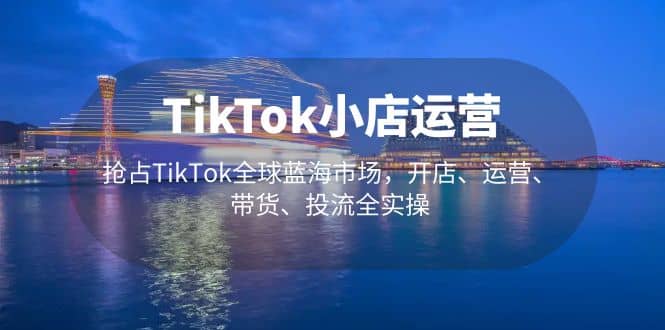 TikTok小店运营 抢占TikTok全球蓝海市场,开店、运营、带货、投流全实操-91搞钱