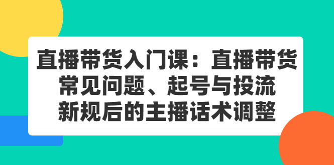 直播带货入门课:直播带货常见问题、起号与投流、新规后的主播话术调整-91搞钱