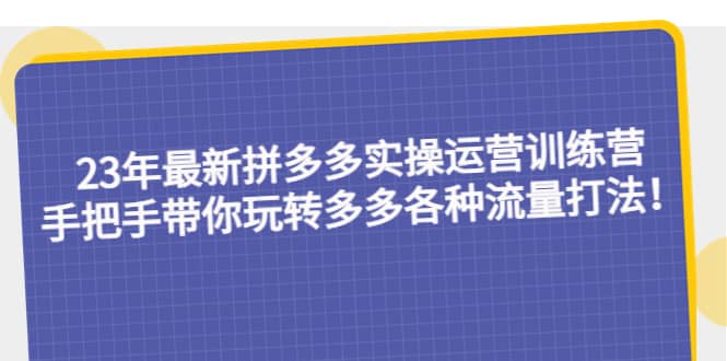 23年最新拼多多实操运营训练营:手把手带你玩转多多各种流量打法!-91搞钱