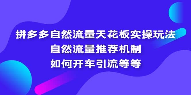 拼多多自然流量天花板实操玩法:自然流量推荐机制,如何开车引流等等-91搞钱
