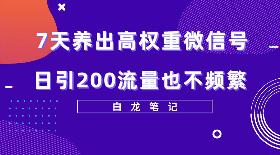7天养出高权重微信号,日引200流量也不频繁,方法价值3680元-91搞钱