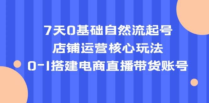 7天0基础自然流起号，店铺运营核心玩法，0-1搭建电商直播带货账号-91搞钱