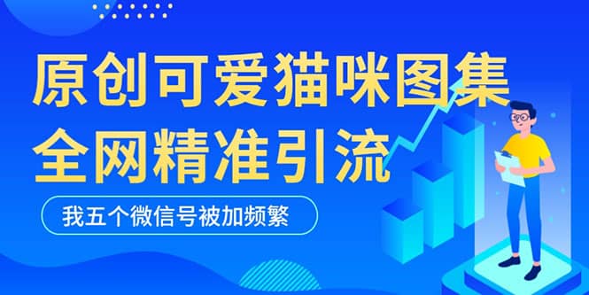 黑科技纯原创可爱猫咪图片,全网精准引流,实操5个VX号被加频繁-91搞钱