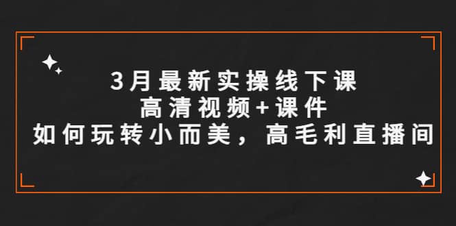 3月最新实操线下课高清视频+课件,如何玩转小而美,高毛利直播间-91搞钱