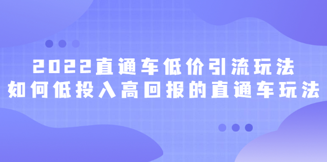 2022直通车低价引流玩法,教大家如何低投入高回报的直通车玩法-91搞钱