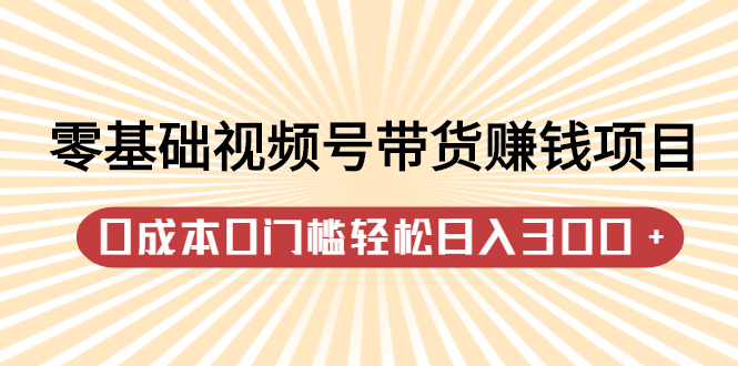 零基础视频号带货赚钱项目,0成本0门槛轻松日入300+【视频教程】-91搞钱