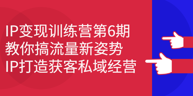 IP变现训练营第6期：教你搞流量新姿势，IP打造获客私域经营-91搞钱