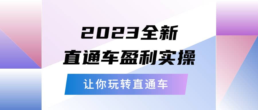 2023全新直通车·盈利实操:从底层,策略到搭建,让你玩转直通车-91搞钱
