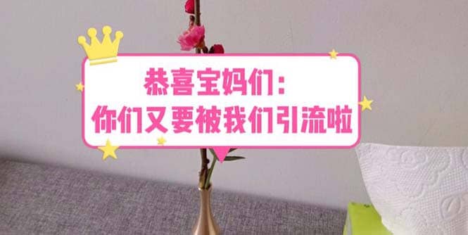 恭喜宝妈们：你们又要被我们引流了（教程+222g资料）-91搞钱
