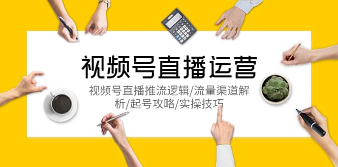 视频号直播运营,视频号直播推流逻辑/流量渠道解析/起号攻略/实操技巧-91搞钱