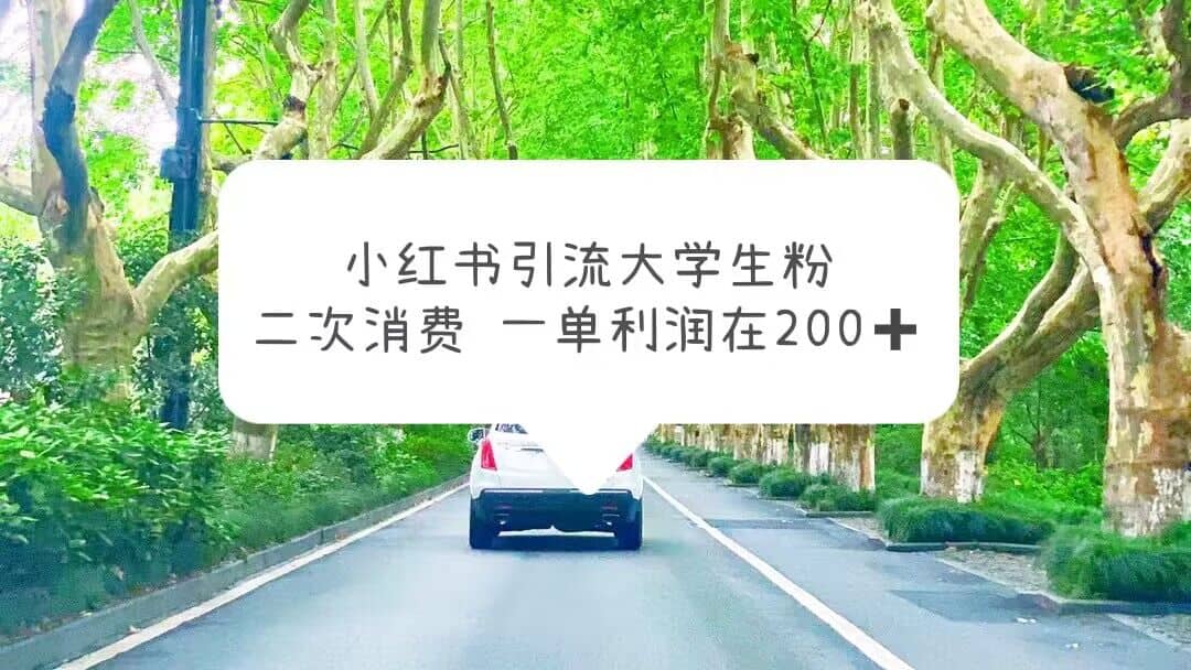 小红书引流大学生粉，变现项目，一单利润在200+（教程+资源）-91搞钱