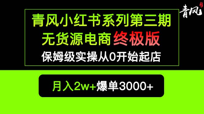 小红书无货源电商爆单终极版【视频教程+实战手册】保姆级实操从0起店爆单-91搞钱