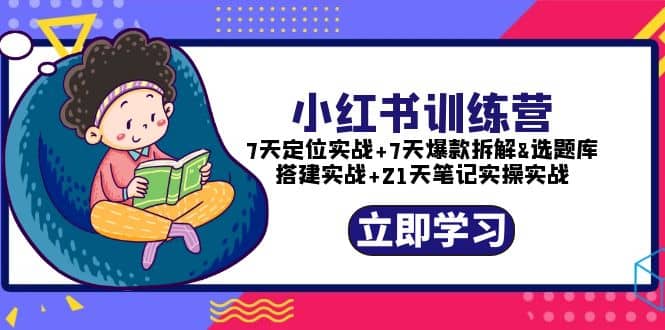 小红书训练营：7天定位实战+7天爆款拆解+选题库搭建实战+21天笔记实操实战-91搞钱