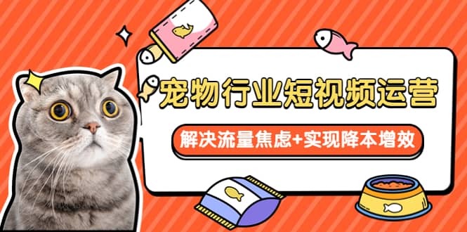 宠物/行业短视频运营 流量增长的一层窗户纸 解决流量焦虑+实现降本增效-91搞钱