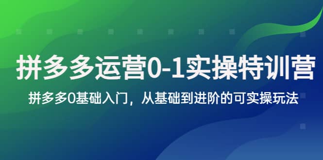 拼多多-运营0-1实操训练营,拼多多0基础入门,从基础到进阶的可实操玩法-91搞钱