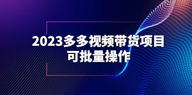 2023多多视频带货项目，可批量操作【保姆级教学】-91搞钱