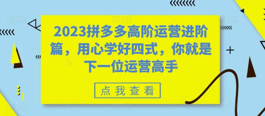 2023拼多多高阶运营进阶篇,用心学好四式,你就是下一位运营高手-91搞钱