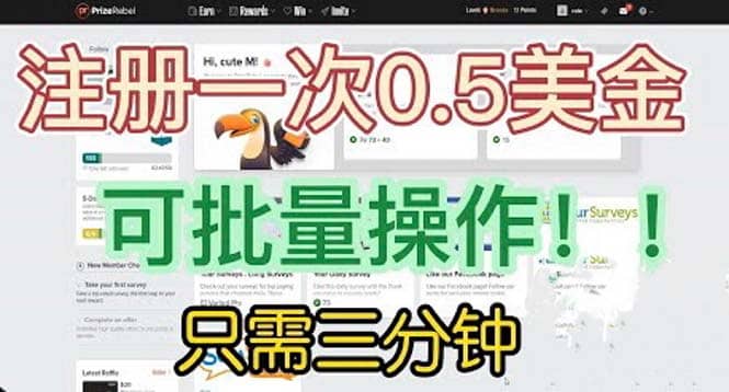 国外项目注册一次0.5美金 只需三分钟无脑操作 可批量放大 小白工作室福利-91搞钱