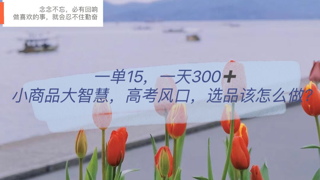 一单15，一天300+，小商品大智慧，高考风口，选品该怎么布局-91搞钱