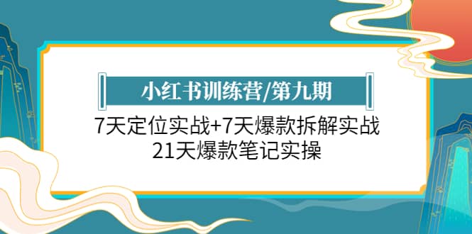 小红书训练营/第九期:7天定位实战+7天爆款拆解实战,21天爆款笔记实操-91搞钱