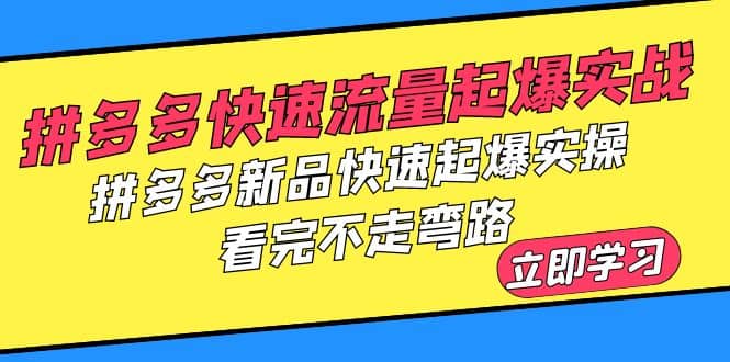 拼多多-快速流量起爆实战,拼多多新品快速起爆实操,看完不走弯路-91搞钱
