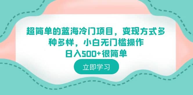超简单的蓝海冷门项目，变现方式多种多样，小白无门槛操作日入500+很简单-91搞钱
