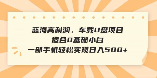 蓝海高利润，车载U盘项目，适合0基础小白，一部手机轻松实现日入500+-91搞钱