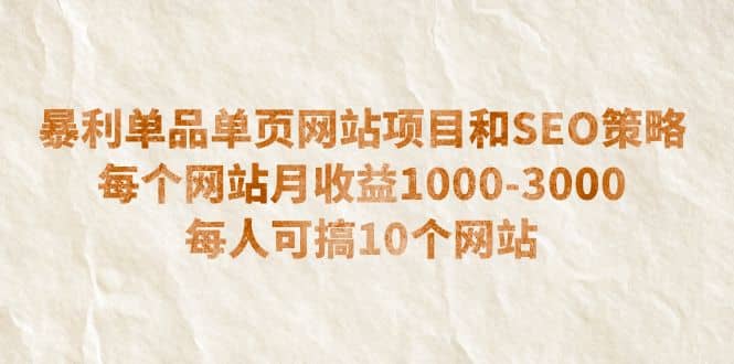 暴利单品单页网站项目和SEO策略 每个网站月收益1000-3000 每人可搞10个-91搞钱