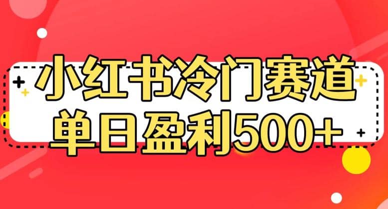 小红书冷门赛道，单日盈利500+【揭秘】-91搞钱