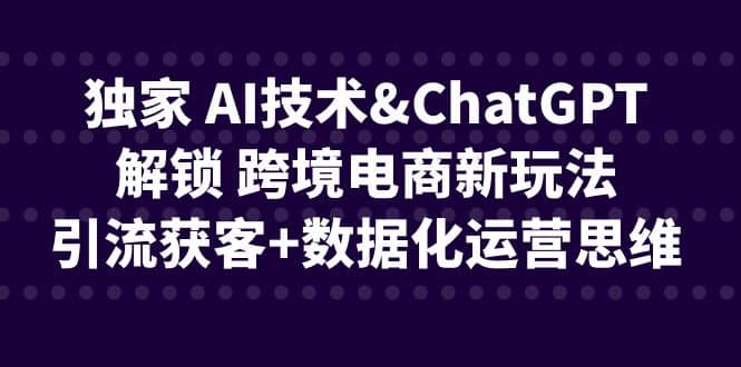 独家 AI技术ChatGPT解锁 跨境电商新玩法,引流获客+数据化运营思维-91搞钱
