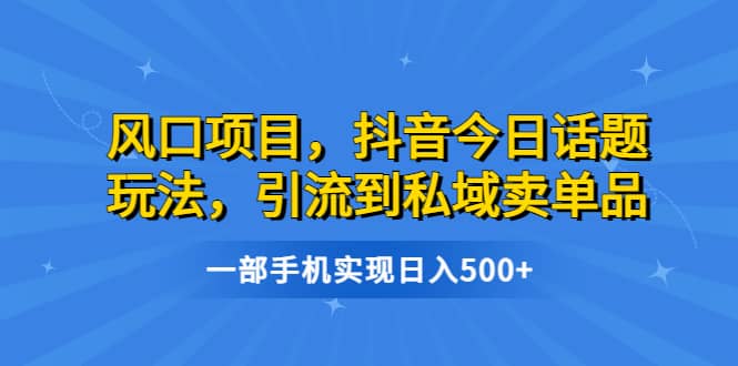 风口项目，抖音今日话题玩法，引流到私域卖单品，一部手机实现日入500+-91搞钱