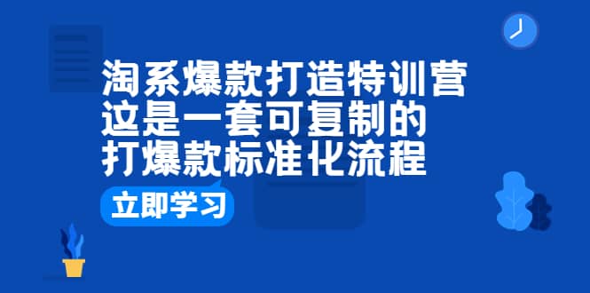 淘系爆款打造特训营:这是一套可复制的打爆款标准化流程-91搞钱