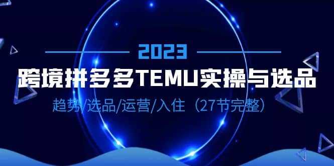 2023跨境·拼多多·TEMU实操与选品,趋势·选品·运营·入住(27节完整)-91搞钱