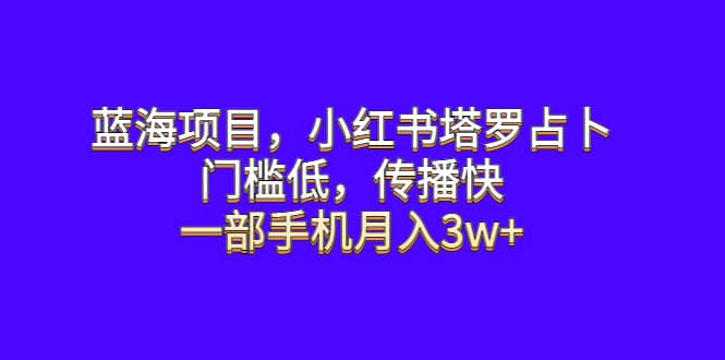 蓝海项目，小红书塔罗占卜，门槛低，传播快，一部手机月入3w+-91搞钱