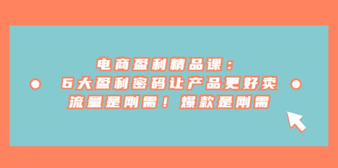 电商 盈利精品课:6大盈利 密码让产品更好卖,流量是刚需!爆款是刚需-91搞钱