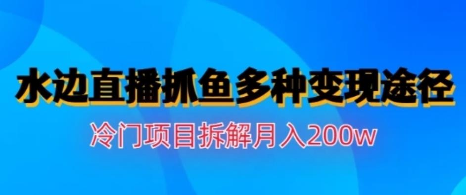 水边直播抓鱼，多种变现途径冷门项目，月入200w拆解【揭秘】-91搞钱